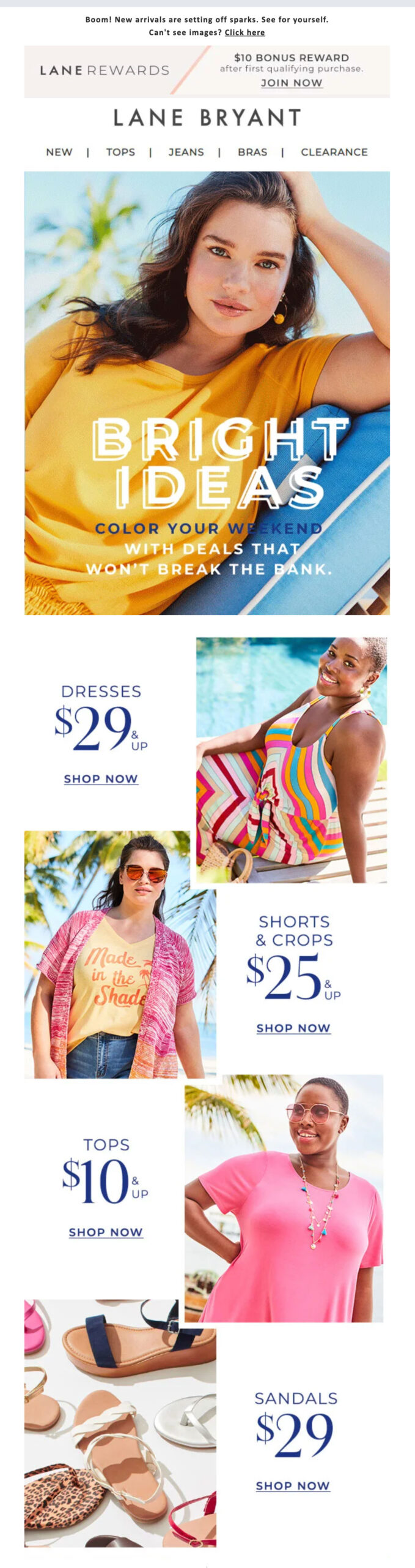 Lane Bryant, image 4